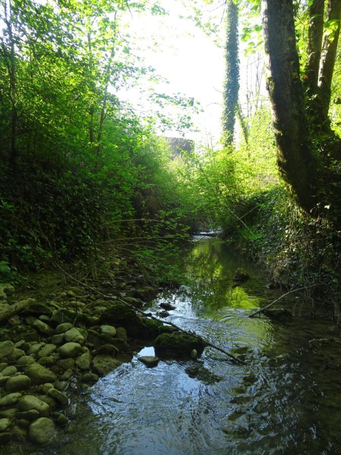 La Chambre Des Carrelets Montigny-sur-l'Ain Εξωτερικό φωτογραφία